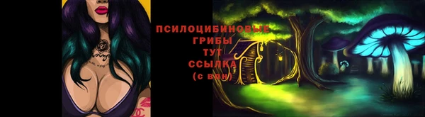 соль ск Медвежьегорск